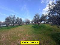 Resim13451